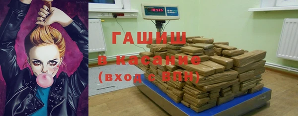spice Богородицк
