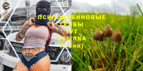 spice Богородицк