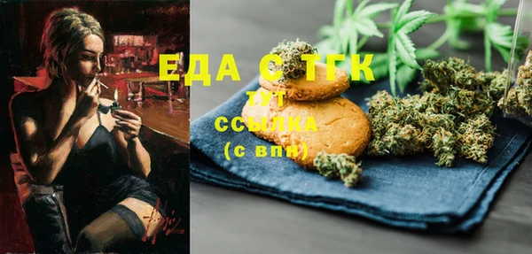 spice Богородицк