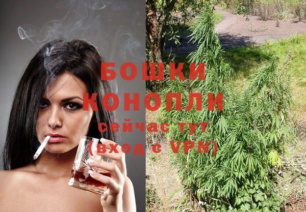 сатива Белоозёрский